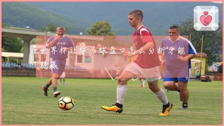 世界杯让球买球盘口怎么分析才能稳赢