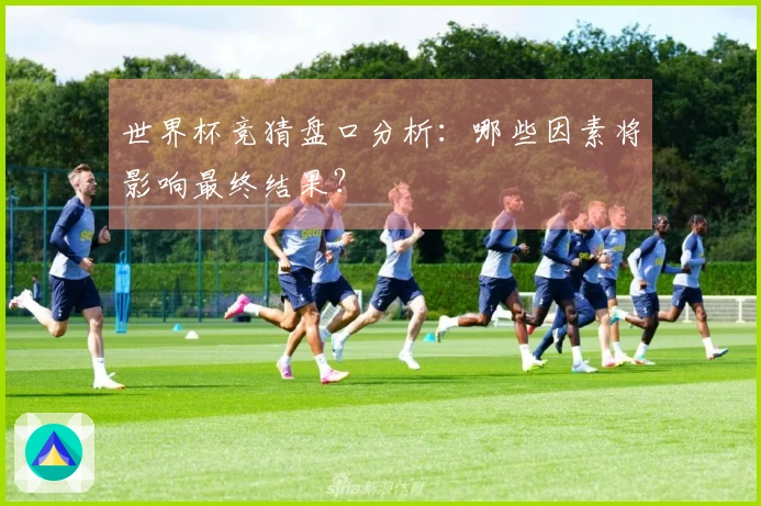 世界杯竞猜盘口分析：哪些因素将影响最终结果？