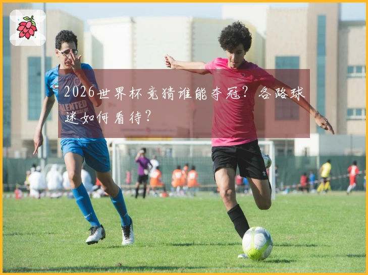 2026世界杯竞猜谁能夺冠？各路球迷如何看待？