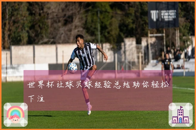 世界杯让球买球经验总结助你轻松下注