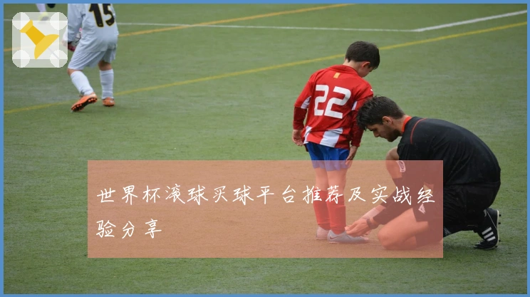 世界杯滚球买球平台推荐及实战经验分享